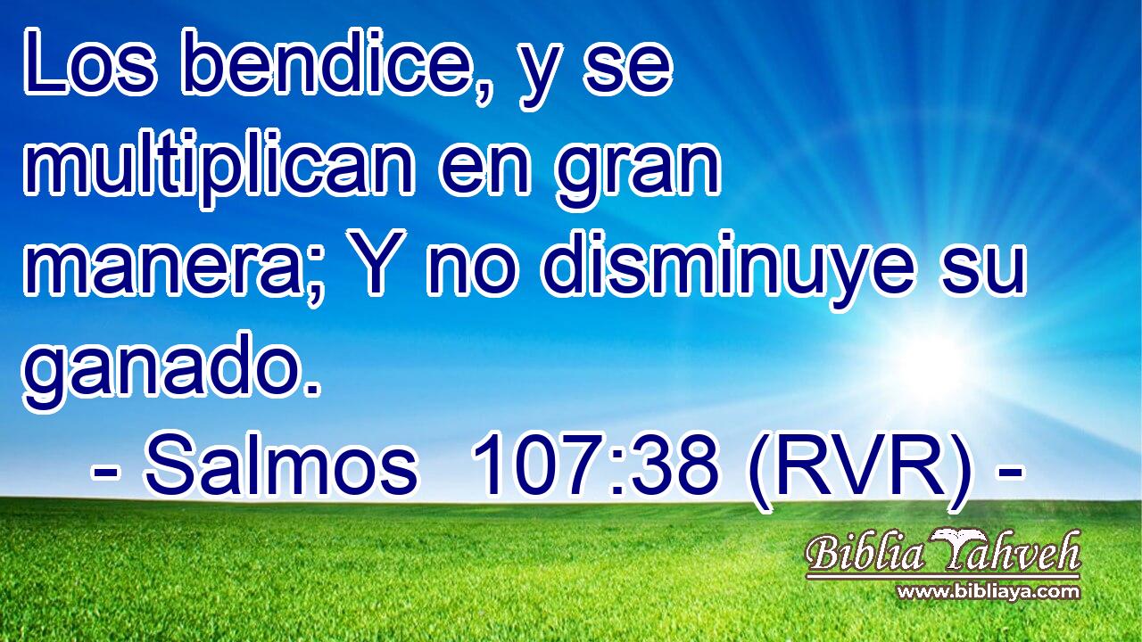 Los bendice, y se multiplican en gran manera; Y no disminuye su ganado.