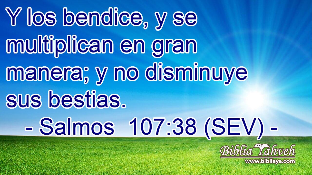 Y los bendice, y se multiplican en gran manera; y no disminuye sus bestias.