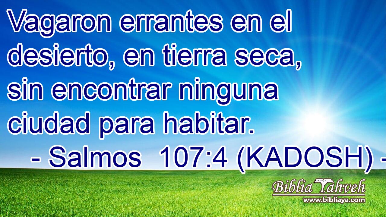  Vagaron errantes en el desierto, en tierra seca, sin encontrar ninguna ciudad para habitar. 