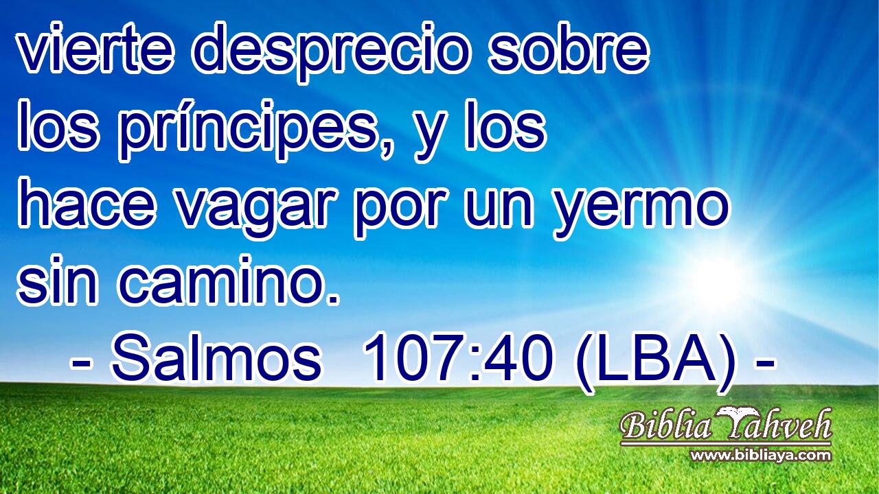 vierte desprecio sobre los príncipes, y los hace vagar por un yermo sin camino.