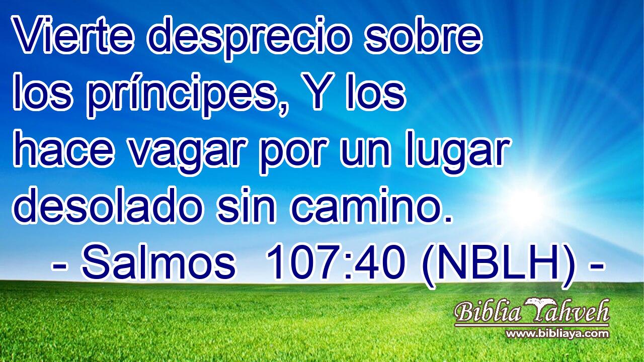  Vierte desprecio sobre los príncipes, Y los hace vagar por un lugar desolado sin camino. 