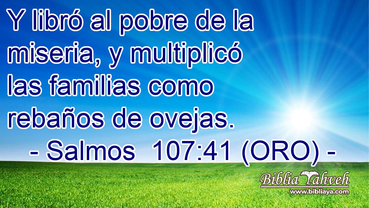  Y libró al pobre de la miseria, y multiplicó las familias como rebaños de ovejas. 