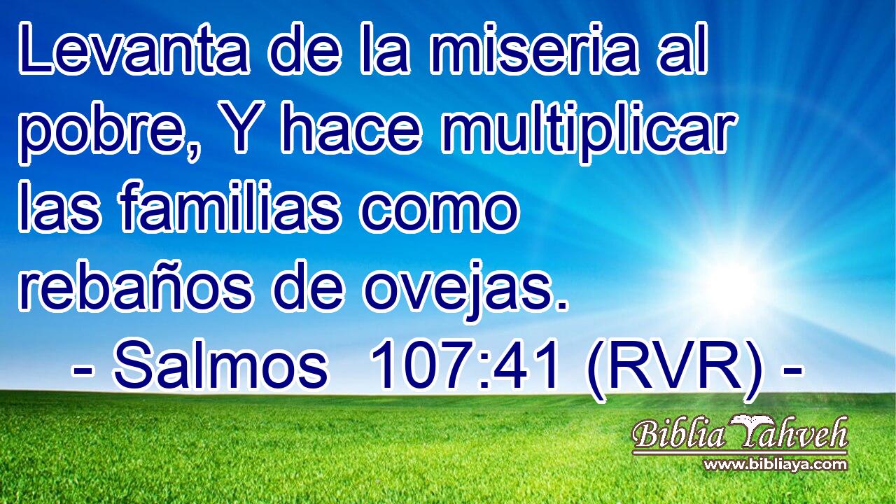 Levanta de la miseria al pobre, Y hace multiplicar las familias como rebaños de ovejas.