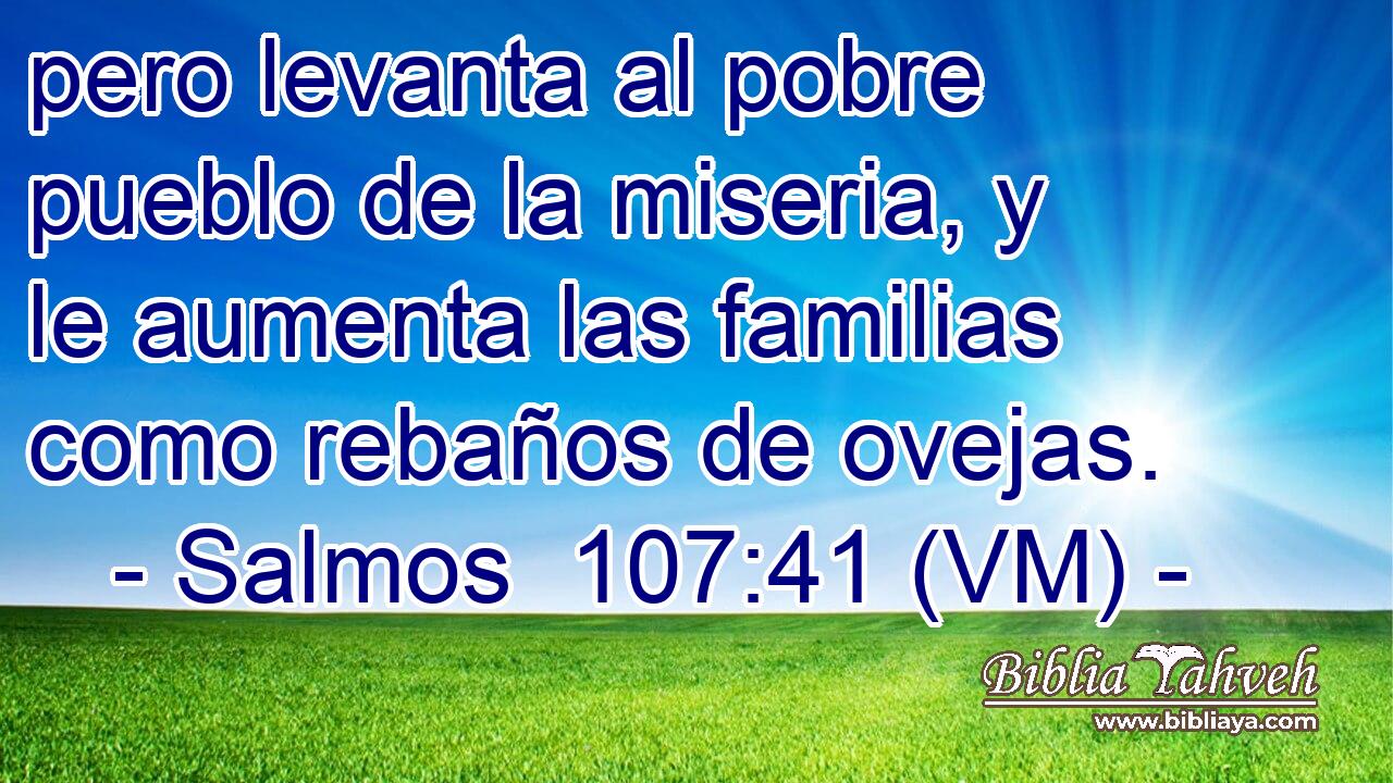  pero levanta al pobre pueblo de la miseria, y le aumenta las familias como rebaños de ovejas. 