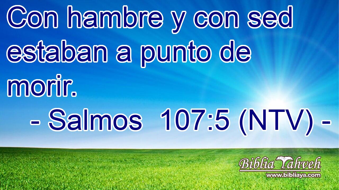 Con hambre y con sed estaban a punto de morir.