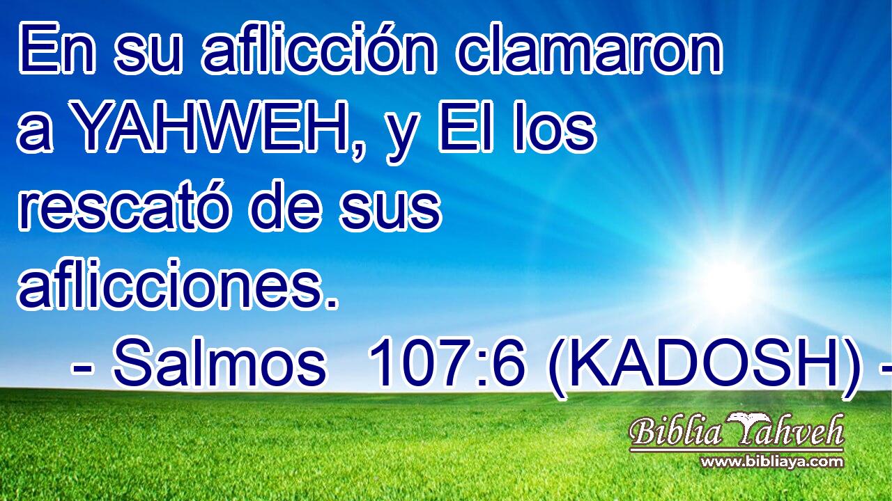  En su aflicción clamaron a YAHWEH, y El los rescató de sus aflicciones. 