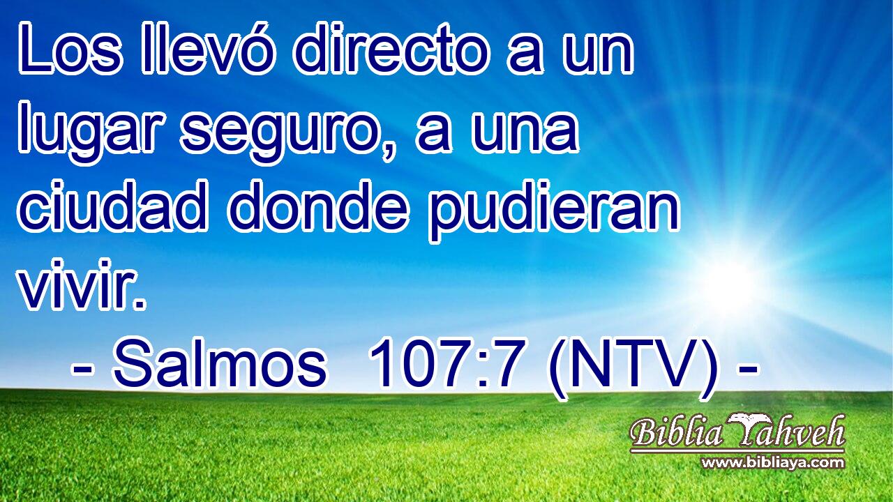 Los llevó directo a un lugar seguro, a una ciudad donde pudieran vivir.