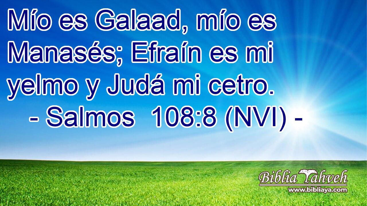  Mío es Galaad, mío es Manasés; Efraín es mi yelmo y Judá mi cetro. 