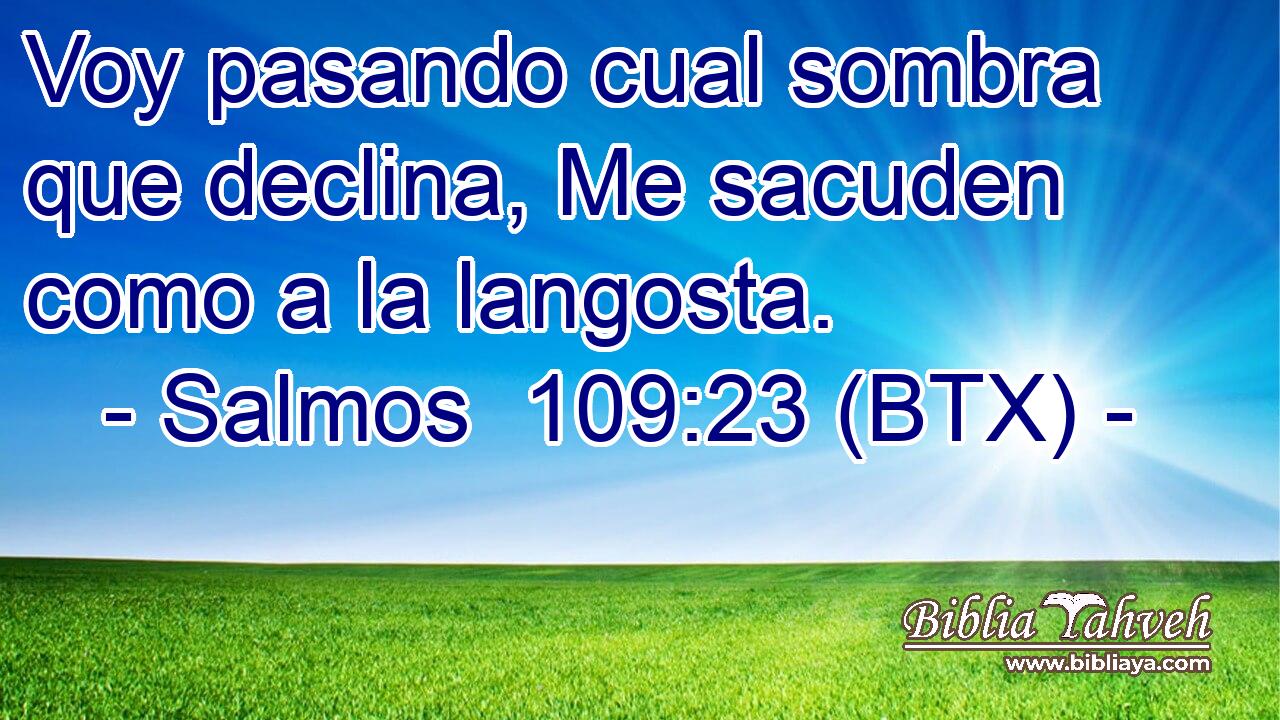 Voy pasando cual sombra que declina, Me sacuden como a la langosta.