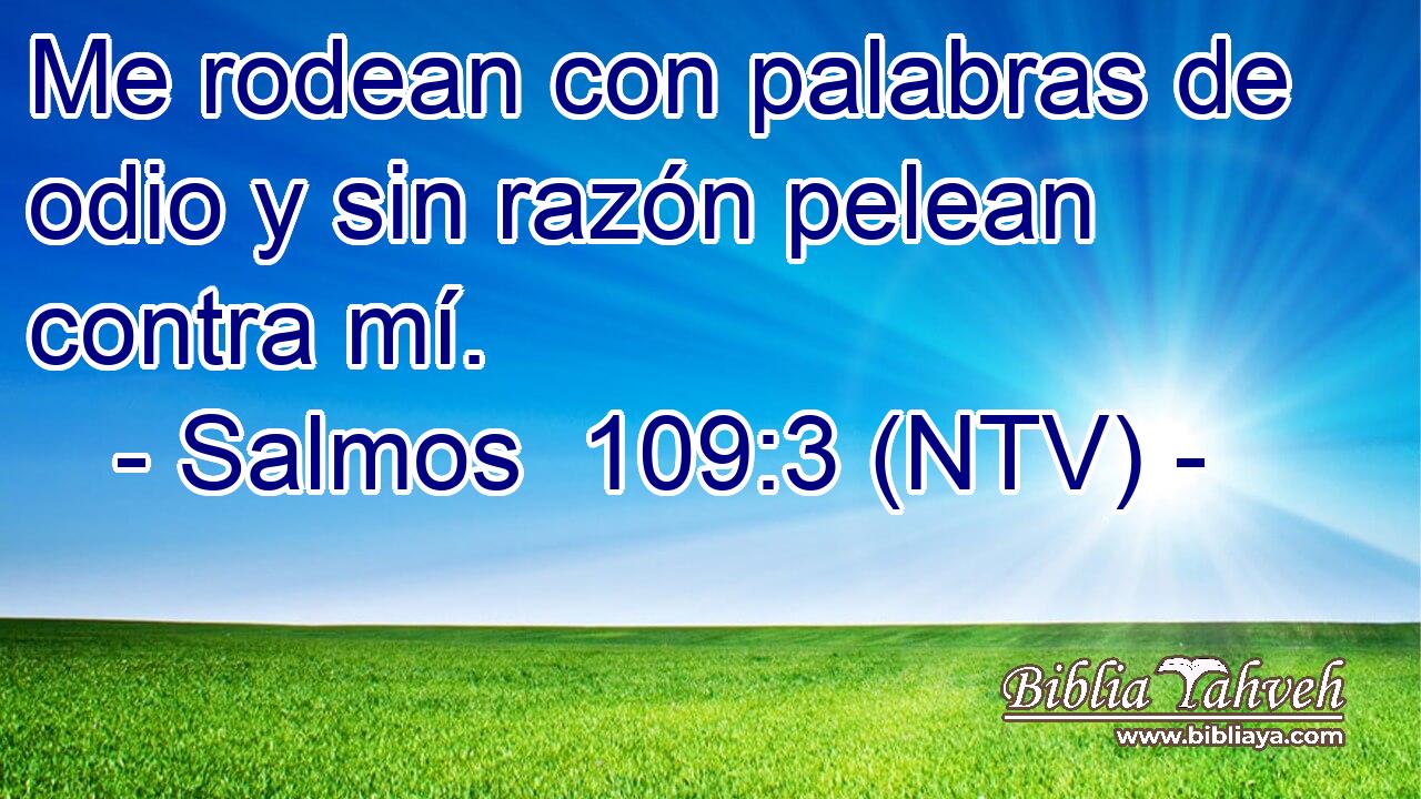 Me rodean con palabras de odio y sin razón pelean contra mí.