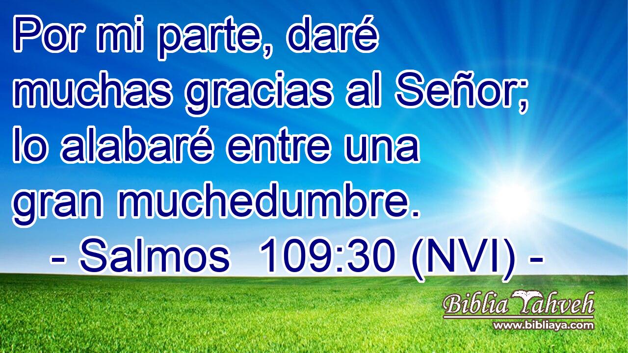  Por mi parte, daré muchas gracias al Señor; lo alabaré entre una gran muchedumbre. 