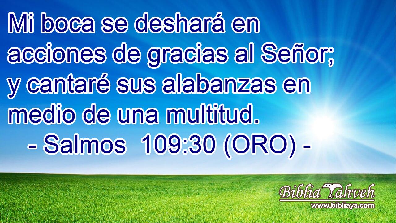  Mi boca se deshará en acciones de gracias al Señor; y cantaré sus alabanzas en medio de una multitud. 