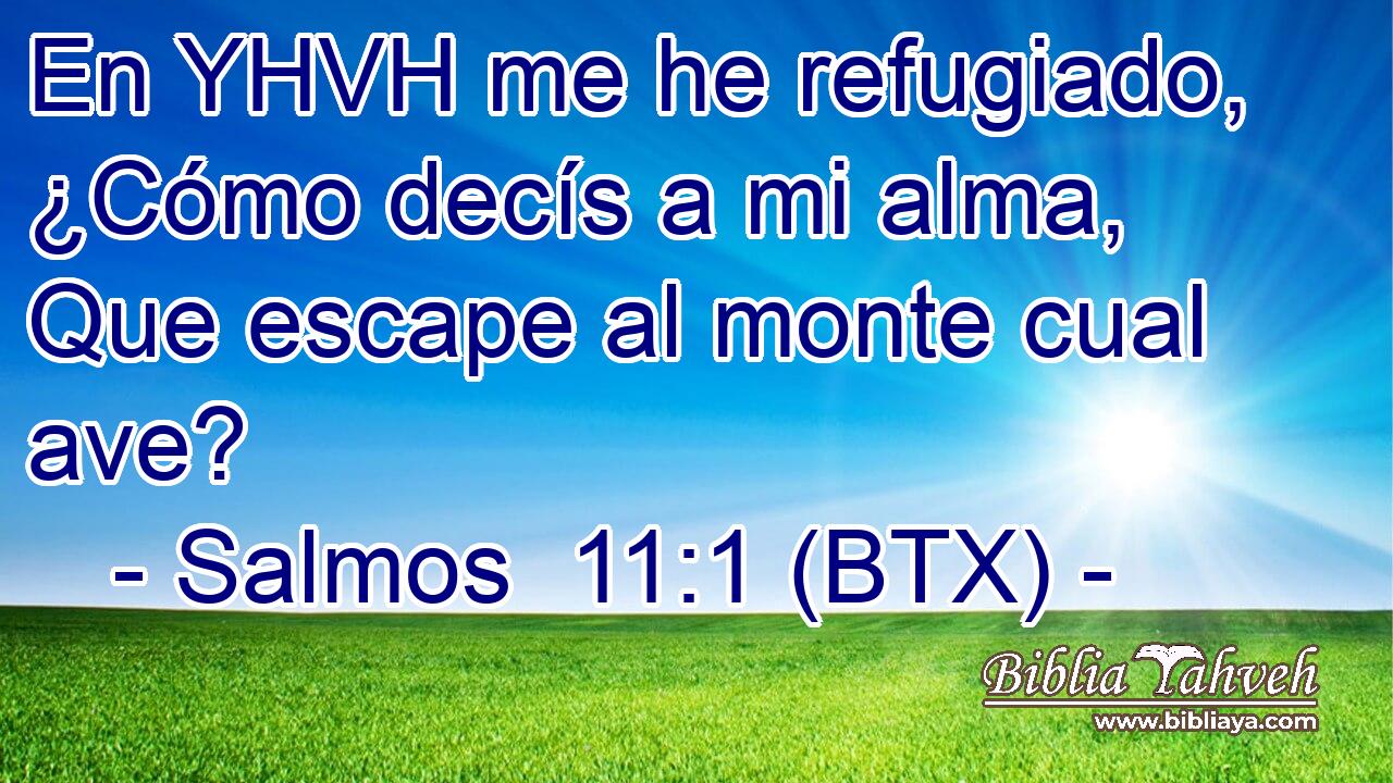 En YHVH me he refugiado, ¿Cómo decís a mi alma, Que escape al monte cual ave?