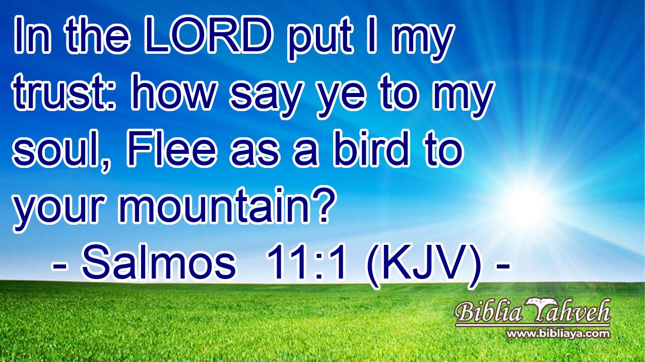 In the LORD put I my trust: how say ye to my soul, Flee as a bird to your mountain?