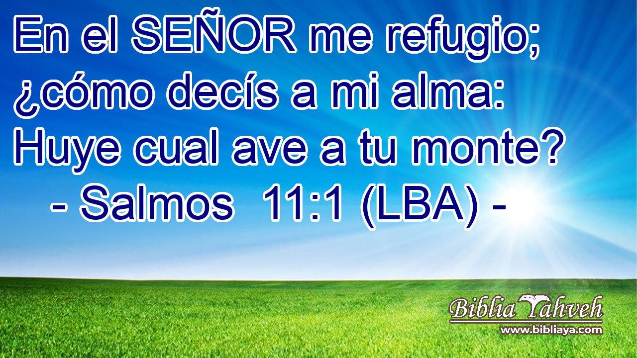 En el SEÑOR me refugio; ¿cómo decís a mi alma: Huye cual ave a tu monte?