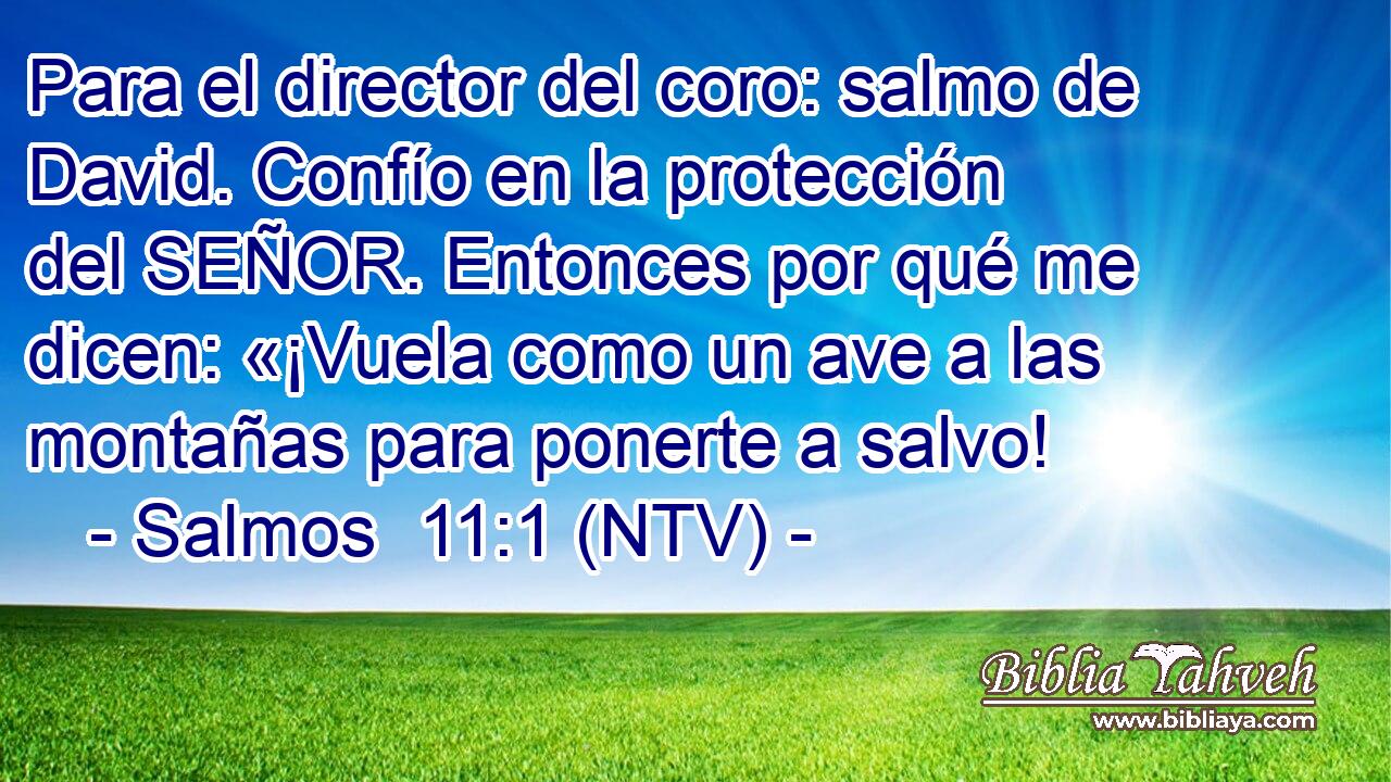 Para el director del coro: salmo de David. Confío en la protección del SEÑOR. Entonces por qué me dicen: «¡Vuela como un ave a las montañas para ponerte a salvo!