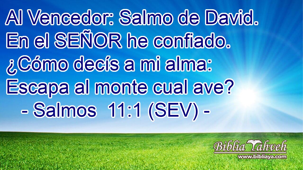 Al Vencedor: Salmo de David. En el SEÑOR he confiado. ¿Cómo decís a mi alma: Escapa al monte cual ave?