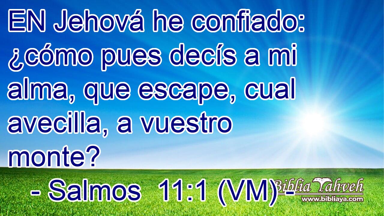  EN Jehová he confiado: ¿cómo pues decís a mi alma, que escape, cual avecilla, a vuestro monte? 