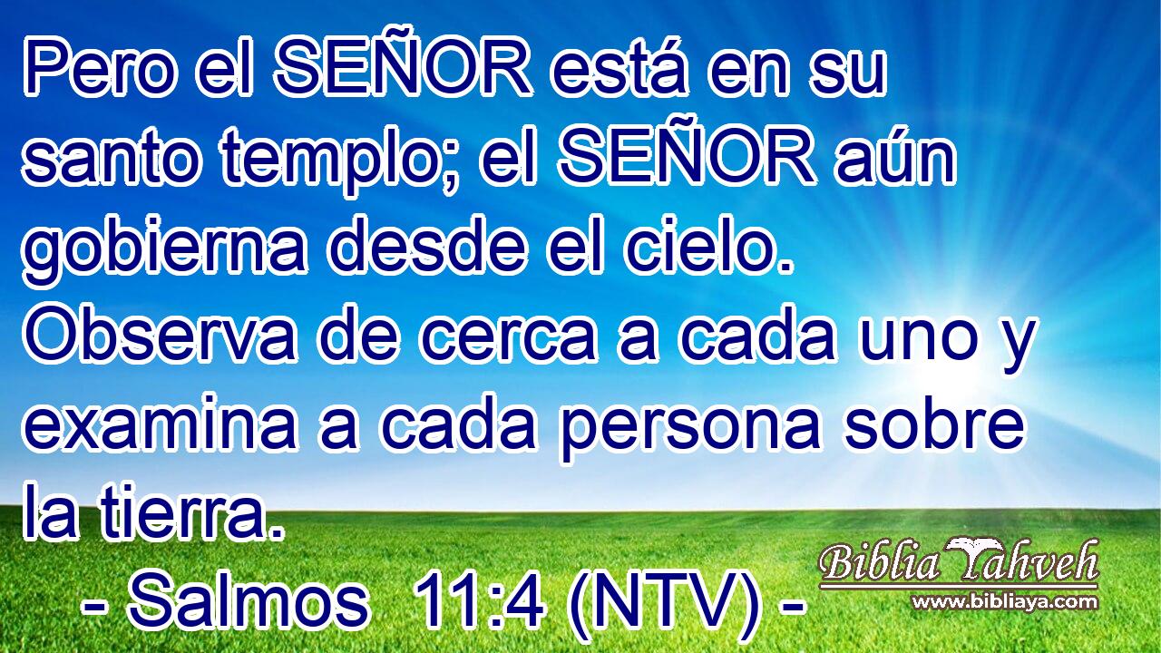 Pero el SEÑOR está en su santo templo; el SEÑOR aún gobierna desde el cielo. Observa de cerca a cada uno y examina a cada persona sobre la tierra.