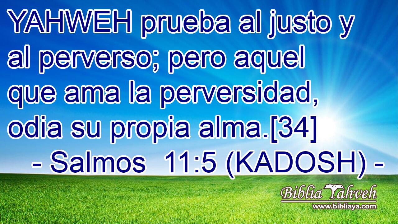  YAHWEH prueba al justo y al perverso; pero aquel que ama la perversidad, odia su propia alma.[34] 