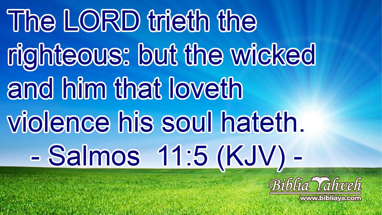 The LORD trieth the righteous: but the wicked and him that loveth violence his soul hateth.