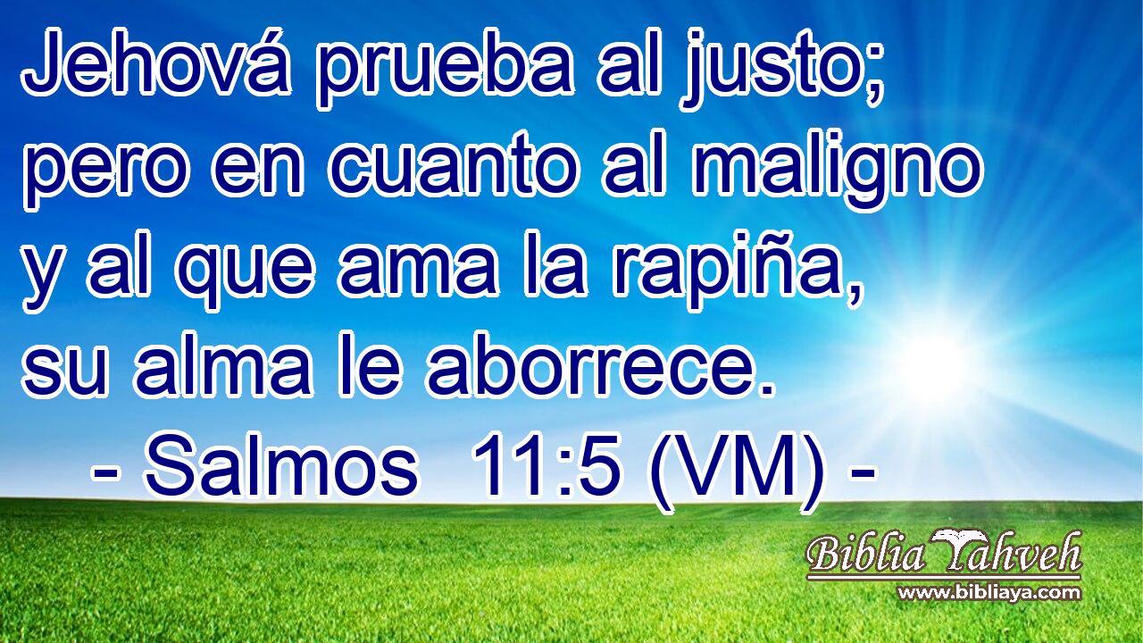  Jehová prueba al justo; pero en cuanto al maligno y al que ama la rapiña, su alma le aborrece. 