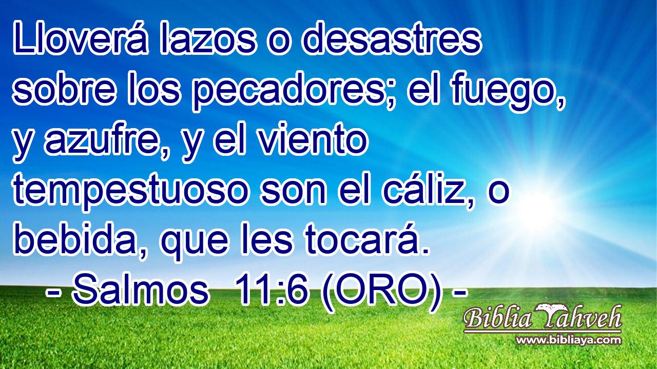  Lloverá lazos o desastres sobre los pecadores; el fuego, y azufre, y el viento tempestuoso son el cáliz, o bebida, que les tocará. 