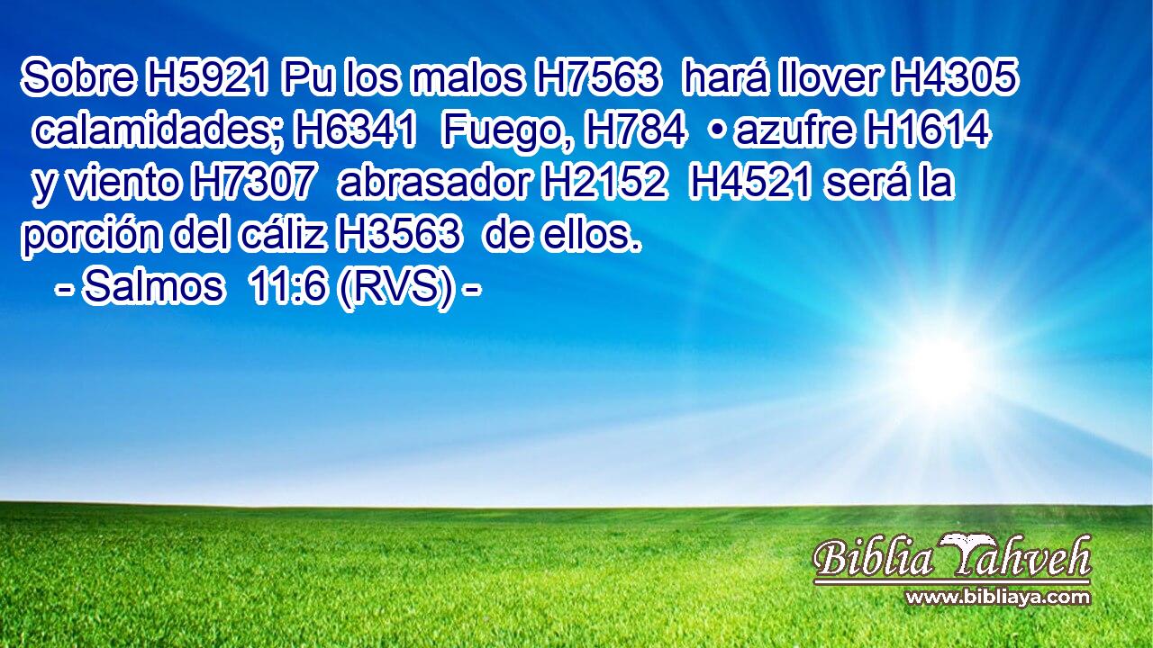 Sobre H5921 Pu los malos H7563  hará llover H4305  calamidades; H6341  Fuego, H784  • azufre H1614  y viento H7307  abrasador H2152  H4521 será la porción del cáliz H3563  de ellos. 