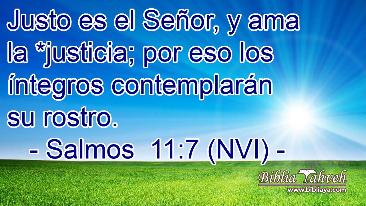  Justo es el Señor, y ama la *justicia; por eso los íntegros contemplarán su rostro. 