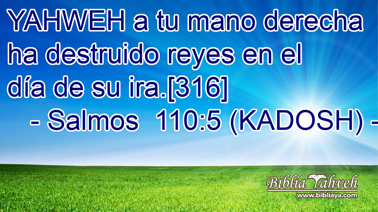  YAHWEH a tu mano derecha ha destruido reyes en el día de su ira.[316] 