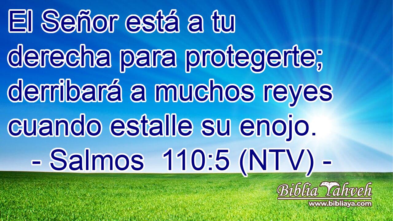 El Señor está a tu derecha para protegerte; derribará a muchos reyes cuando estalle su enojo.