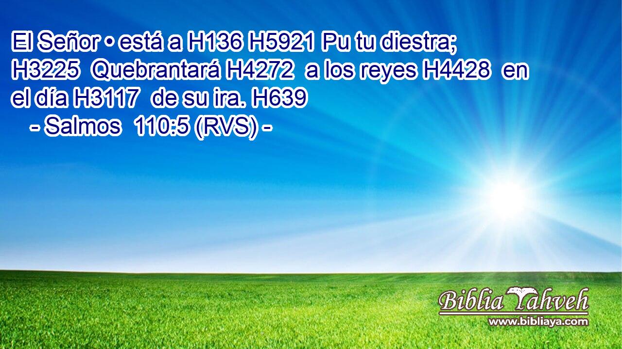 El Señor • está a H136 H5921 Pu tu diestra; H3225  Quebrantará H4272  a los reyes H4428  en el día H3117  de su ira. H639  