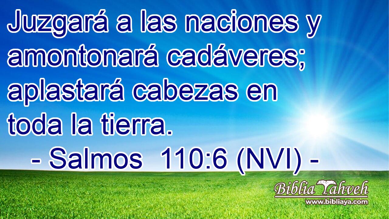 Juzgará a las naciones y amontonará cadáveres; aplastará cabezas en toda la tierra. 