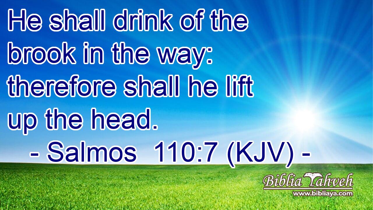 He shall drink of the brook in the way: therefore shall he lift up the head.