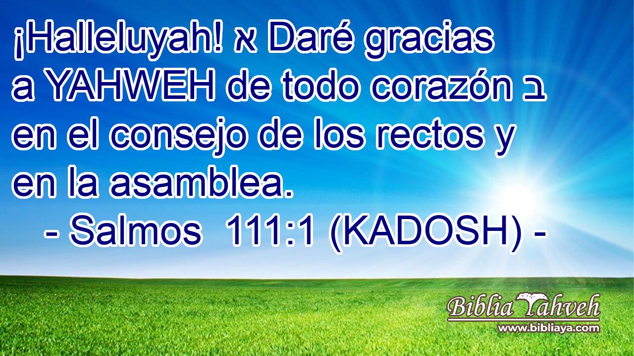  ¡Halleluyah! א Daré gracias a YAHWEH de todo corazón ב en el consejo de los rectos y en la asamblea. 