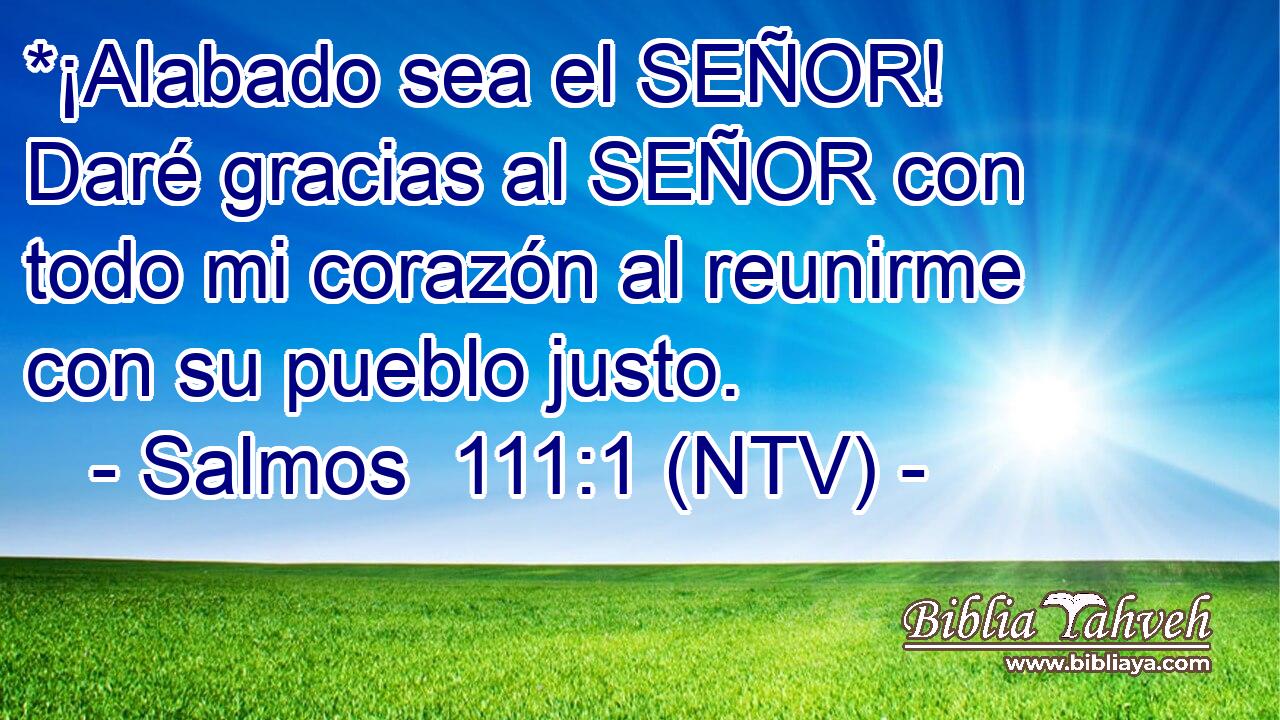 *¡Alabado sea el SEÑOR! Daré gracias al SEÑOR con todo mi corazón al reunirme con su pueblo justo.