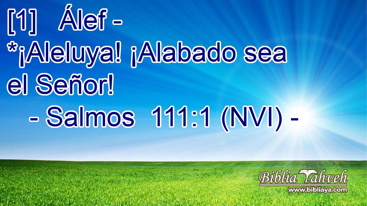  [1]   Álef - *¡Aleluya! ¡Alabado sea el Señor! 
