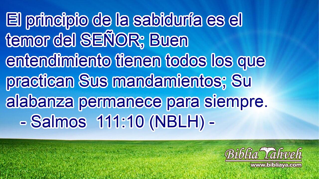  El principio de la sabiduría es el temor del SEÑOR; Buen entendimiento tienen todos los que practican Sus mandamientos; Su alabanza permanece para siempre. 