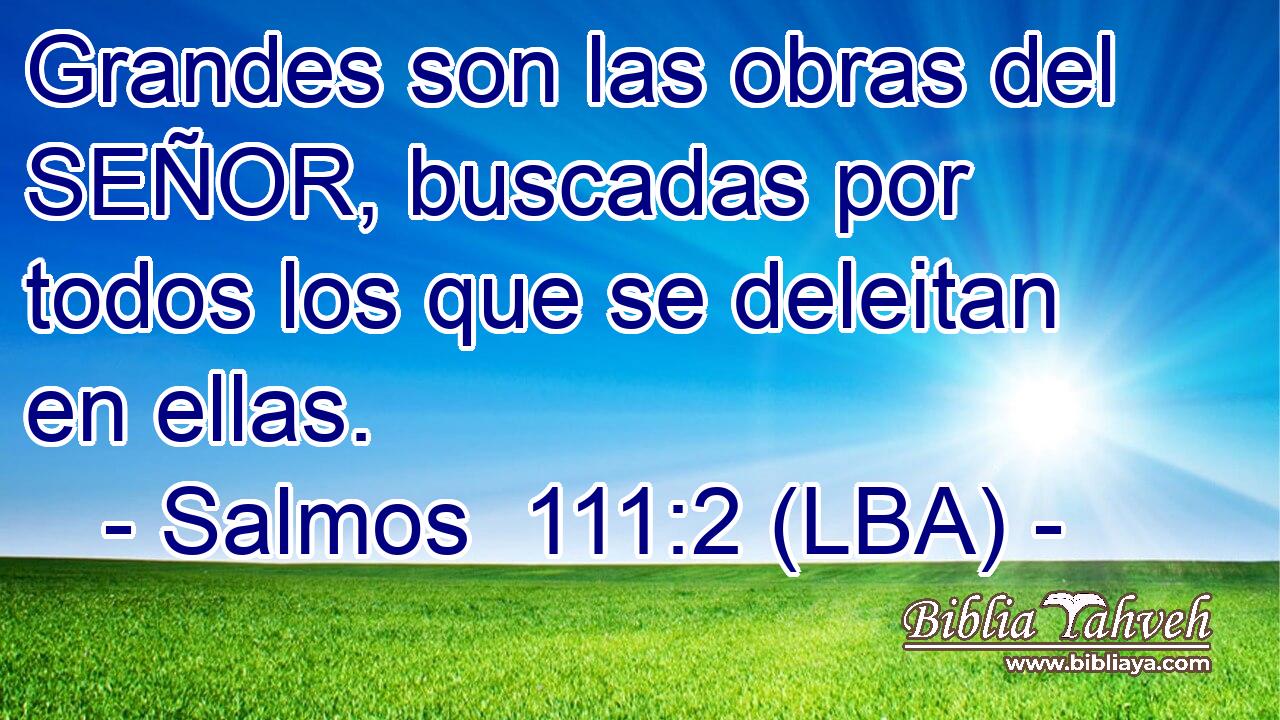 Grandes son las obras del SEÑOR, buscadas por todos los que se deleitan en ellas.