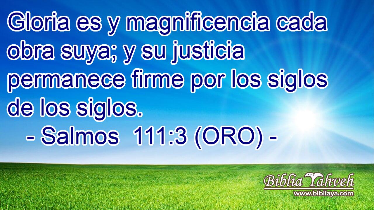  Gloria es y magnificencia cada obra suya; y su justicia permanece firme por los siglos de los siglos. 