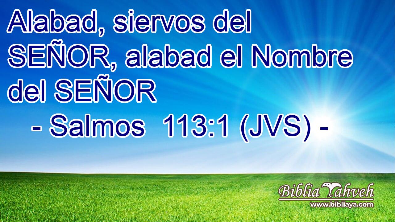 Alabad, siervos del SEÑOR, alabad el Nombre del SEÑOR