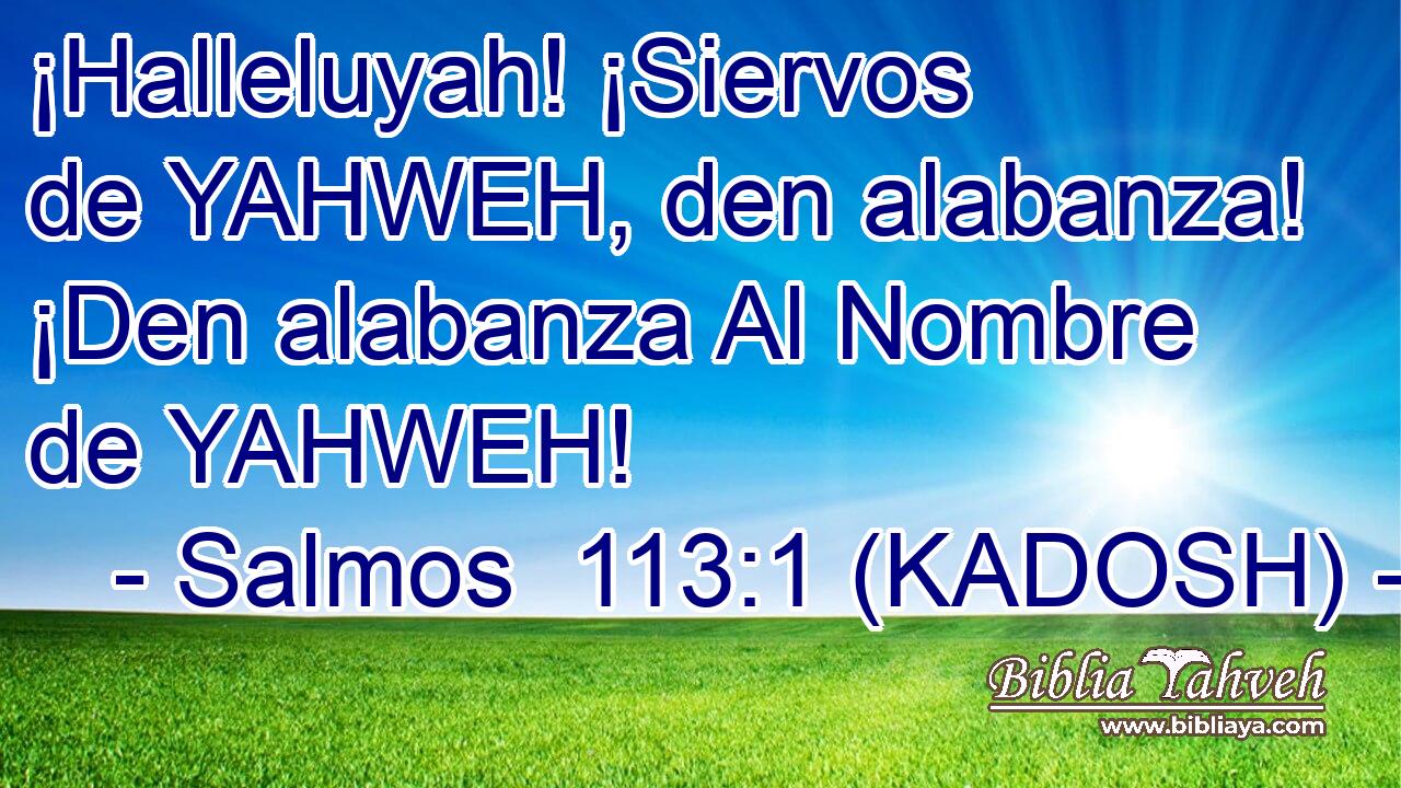  ¡Halleluyah! ¡Siervos de YAHWEH, den alabanza! ¡Den alabanza Al Nombre de YAHWEH! 