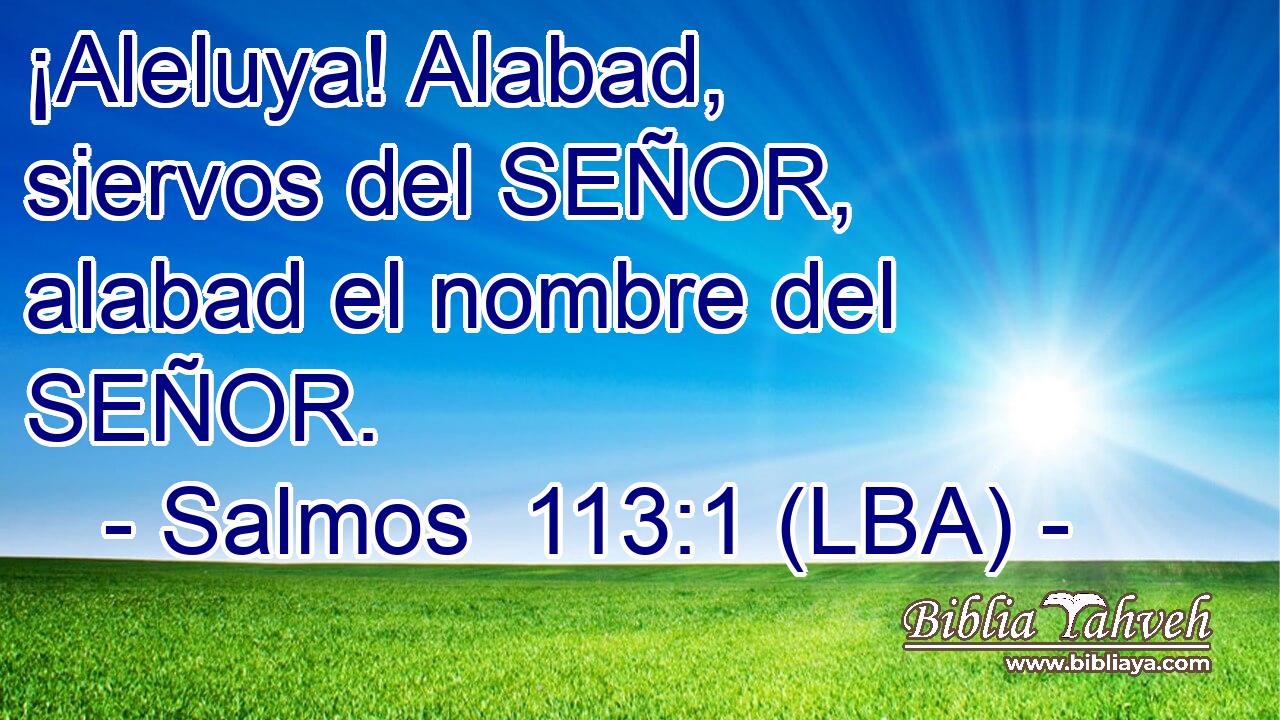 ¡Aleluya! Alabad, siervos del SEÑOR, alabad el nombre del SEÑOR.