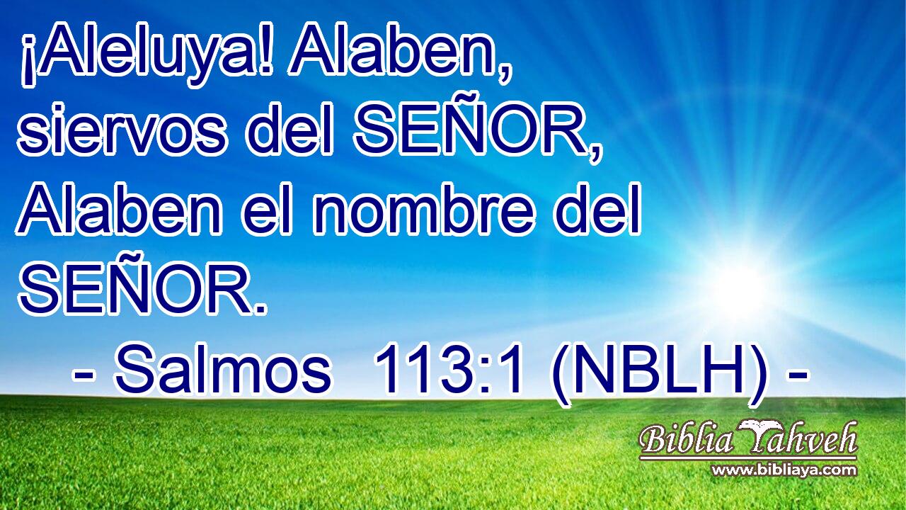  ¡Aleluya! Alaben, siervos del SEÑOR, Alaben el nombre del SEÑOR. 
