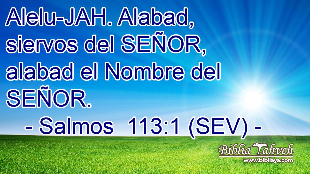 Alelu-JAH. Alabad, siervos del SEÑOR, alabad el Nombre del SEÑOR.
