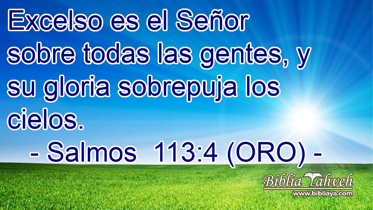 Excelso es el Señor sobre todas las gentes, y su gloria sobrepuja los cielos. 