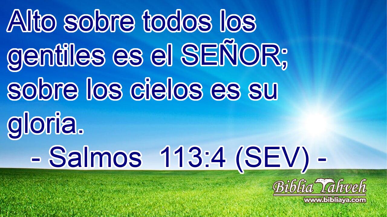 Alto sobre todos los gentiles es el SEÑOR; sobre los cielos es su gloria.