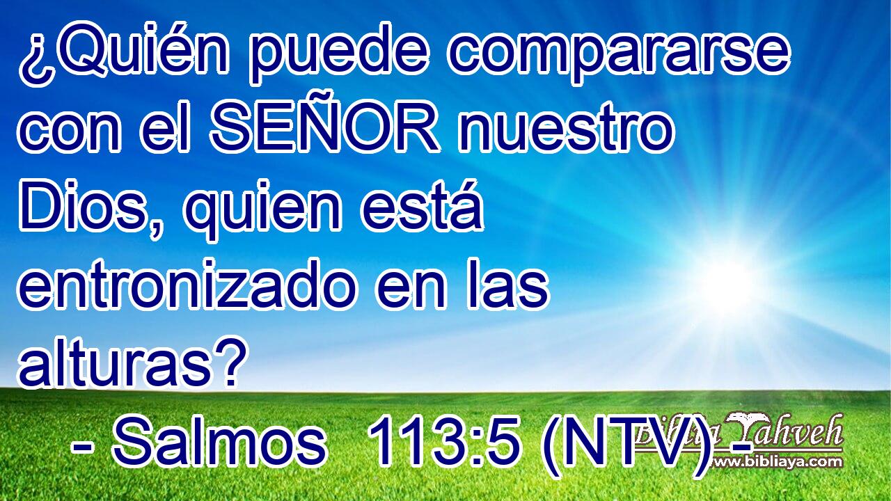 ¿Quién puede compararse con el SEÑOR nuestro Dios, quien está entronizado en las alturas?