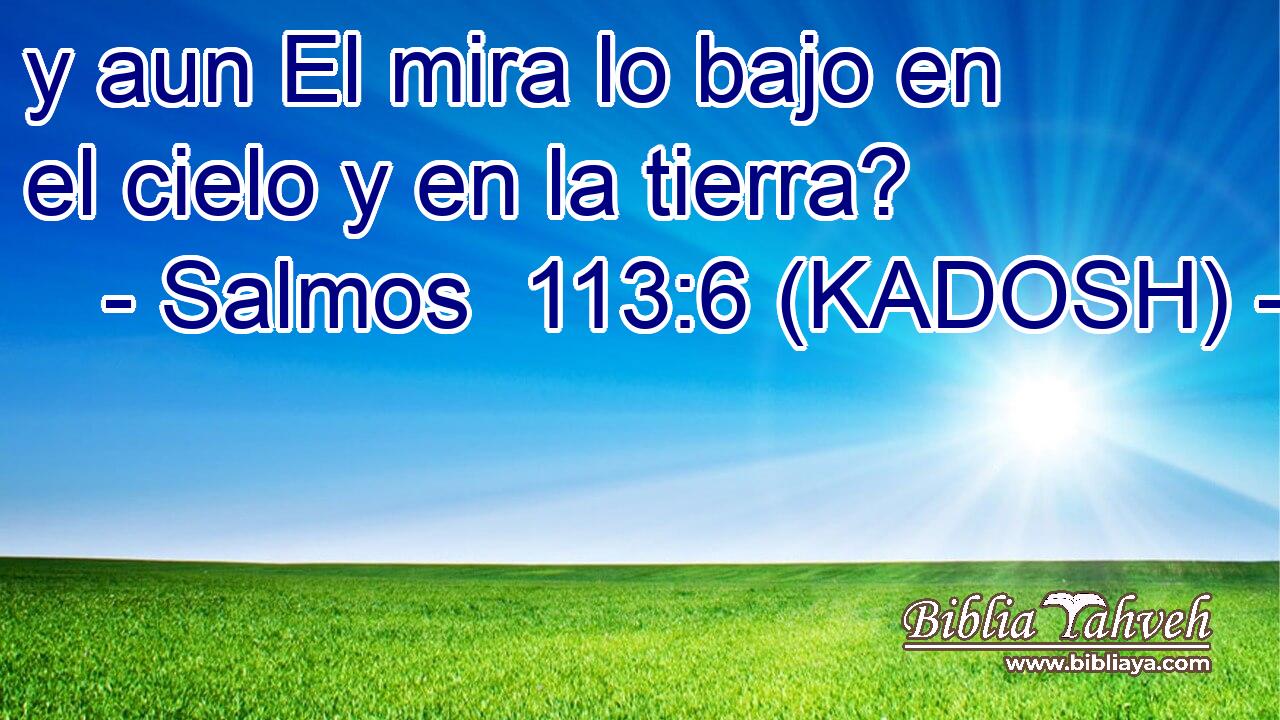  y aun El mira lo bajo en el cielo y en la tierra? 