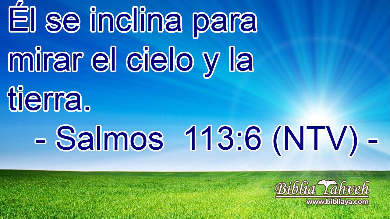 Él se inclina para mirar el cielo y la tierra.